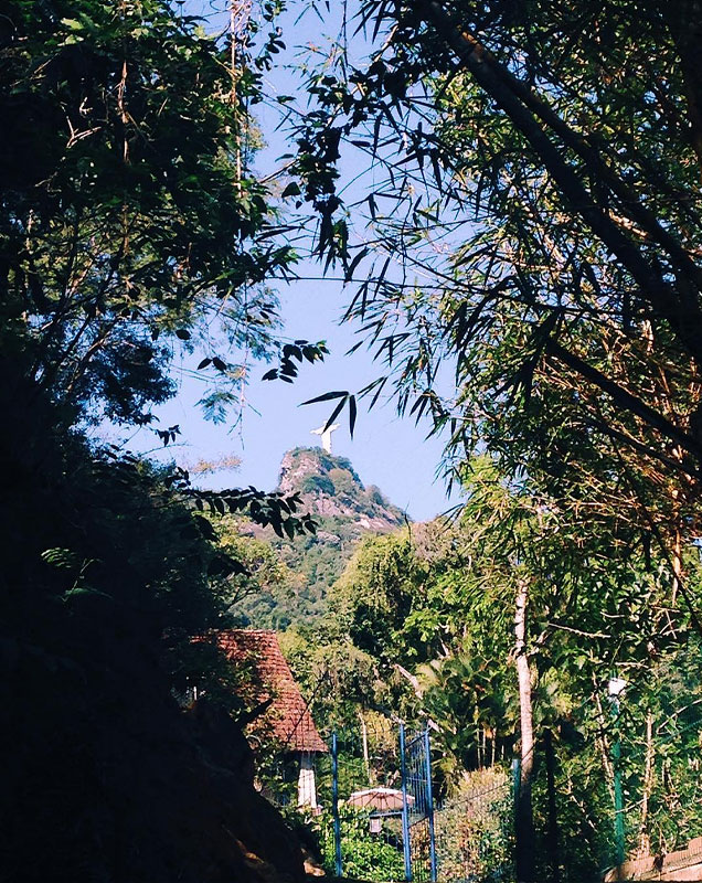 Vista